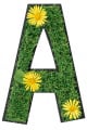 AGRA-H sp.j.
