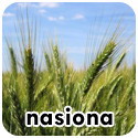 nasiona