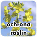 ochrona rolin