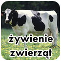 ywienie zwierzt